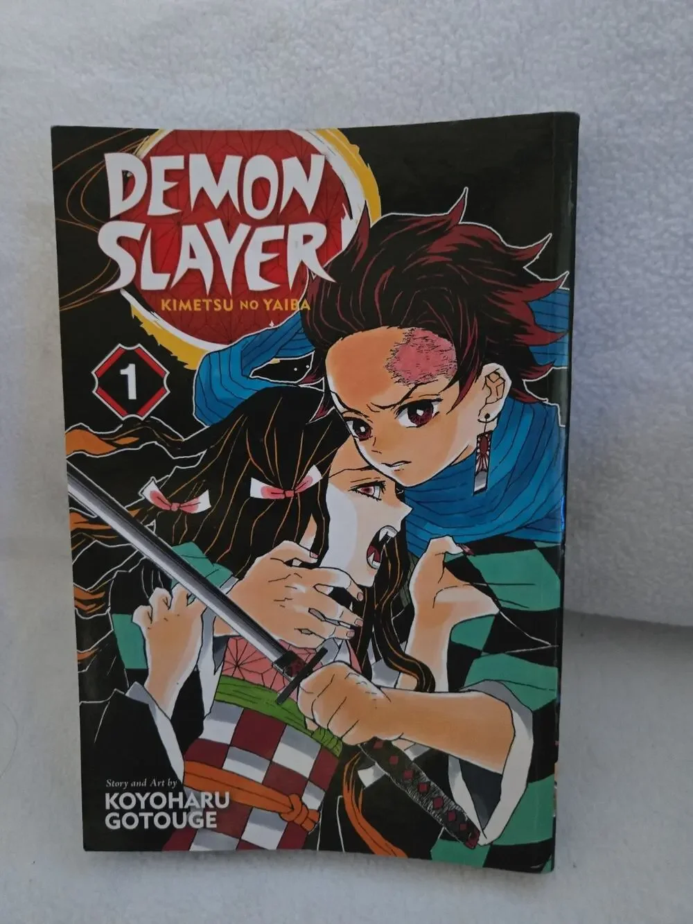 Demon Slayer Manga Vol 1 English